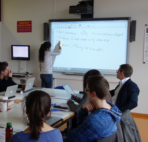 Cours de group et individuel